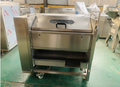 Small Vegetable Washer