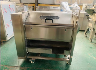 Small Vegetable Washer